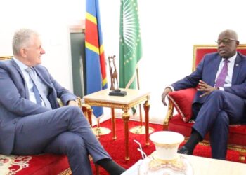 Grands Lacs: « l&rsquo;option militaire ne peut pas apporter à elle seule une paix durable » (RDC-UE)