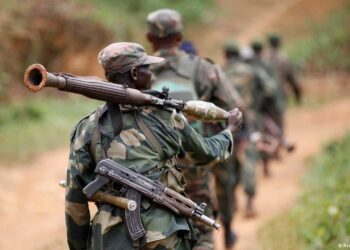 Ituri: au moins 20 civils tués par les ADF