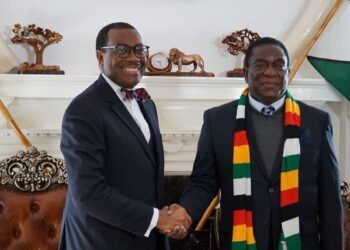 La BAD s&rsquo;engage à aider le Zimbabwe à revitaliser son économie
