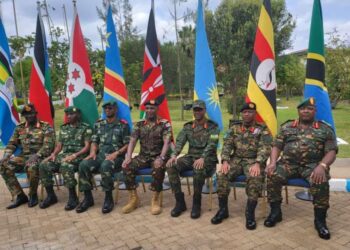 Faut-il inviter les armées d’Afrique de l’Est en RDC ? (Pierre Boisselet)