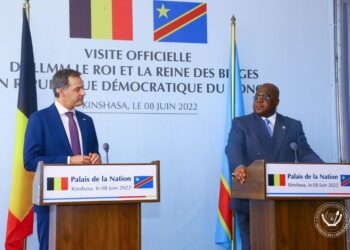 « Belgique, porte d&rsquo;entrée en Europe »: F.Thisekedi « fait preuve de complexe de néo-colonisé » (Fayulu)