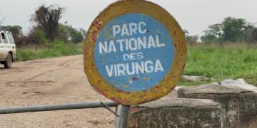 RDC: l&rsquo;UE condamne le bombardement du chantier de la centrale de Rwanguba par le M23