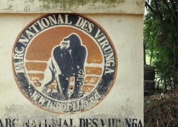 RDC: la Belgique déplore les dégâts causés par l&rsquo;attaque du M23 contre la centrale de Rwanguba