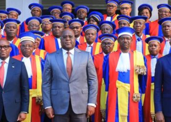 RDC-Spoliation : ACAJ recommande à la Cour des comptes de rétablir l&rsquo;Etat dans ses droits