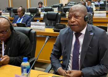 André Mbata au Parlement panafricain : « le régime rwandais opère comme une force négative »
