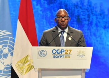 Sama Lukonde à la COP27: « le monde doit se lever pour soutenir nos efforts de paix pour mieux protéger nos écosystèmes »