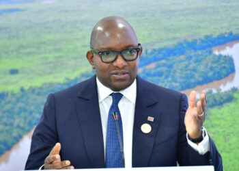 REDD+ Maï-Ndombe: l&rsquo;équipe de pilotage présente à Sama Lukonde le bilan des activités réalisées depuis 2011