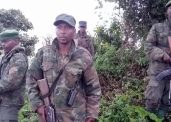 RDC: Malmené par l&rsquo;armée congolaise, le M23 appelle au dialogue