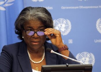 ONU : les USA prennent note du désir de la RDC « d&rsquo;assouplir » le régime de notification sur l&rsquo;achat d&rsquo;armes