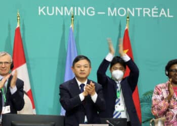 COP 15: l&rsquo;accord Kunming-Montréal appelle à restaurer 30% des écosystèmes dégradés