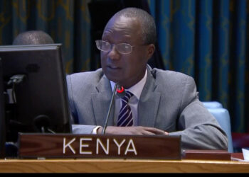 RDC: « le mandat robuste de la Monusco permettra de gagner la confiance de la population » (Kenya)
