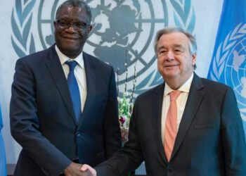 L&rsquo;ONU appelée à déplacer « loin de la RDC » les rebelles FDLR et ADF