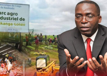 Bukanga Lonzo : « Matata doit répondre » (Carbone Beni)