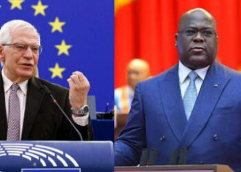 L&rsquo;UE demande à la RDC de « stopper toute coopération entre les FARDC et FDLR »