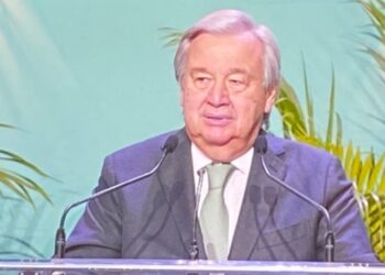 COP15: « nous faisons la guerre à la nature. l&rsquo;humanité est devenue une arme d&rsquo;extinction massive », dénonce Guterres