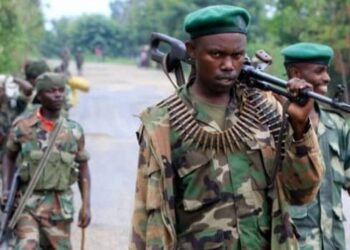 RDC: les USA et la Belgique appellent à une enquête approfondie sur le massacre de 50 civils à Kishishe