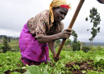 RDC: le gouvernement appelé à soutenir la diversification de l&rsquo;économie