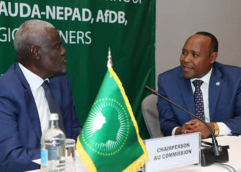 « Les perspectives économiques de l&rsquo;Afrique en 2023 semblent prometteuses » (Moussa Faki)