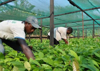 ONU : « la croissance économique mondiale devrait ralentir à 1,9% en 2023 »