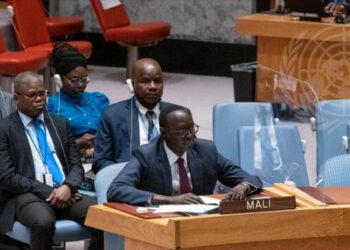ONU : le Conseil de sécurité tient des consultations à huis clos sur le Mali ce mercredi