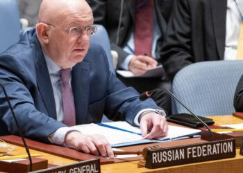 « La déstabilisation du Mali est le résultat des actions irresponsables des pays occidentaux en Libye » (Russie)