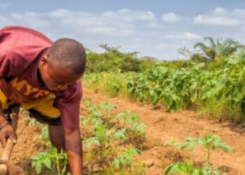 Vers l&rsquo;opérationnalisation de la Force climatique africaine