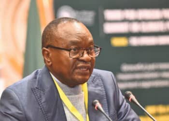 Parlement panafricain : Didier Molisho appelle à repenser les systèmes agricoles de l&rsquo;Afrique