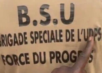 RDC : la CENCO « se demande si la Brigade spéciale de l&rsquo;UDPS n&rsquo;est pas une milice officiellement entretenue »