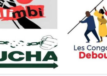 RDC : les mouvements citoyens réclament la suspension de l&rsquo;examen du projet de loi portant répartition des sièges