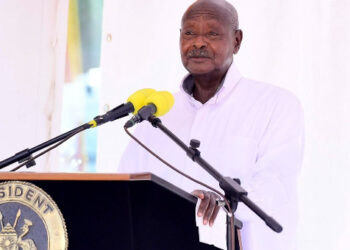 Opération Shujaa en RDC : « depuis 2021, 508 ADF ont été mis hors de combat, 50 capturés vivants » (Museveni)