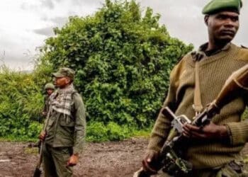 Est de la RDC : les recettes de la société civile pour une paix durable